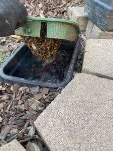 Bee Removal Logics offers safe live bee removal services for all of San Diego County.