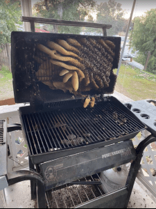 Bee Removal Logics offers safe live bee removal services for all of San Diego County.